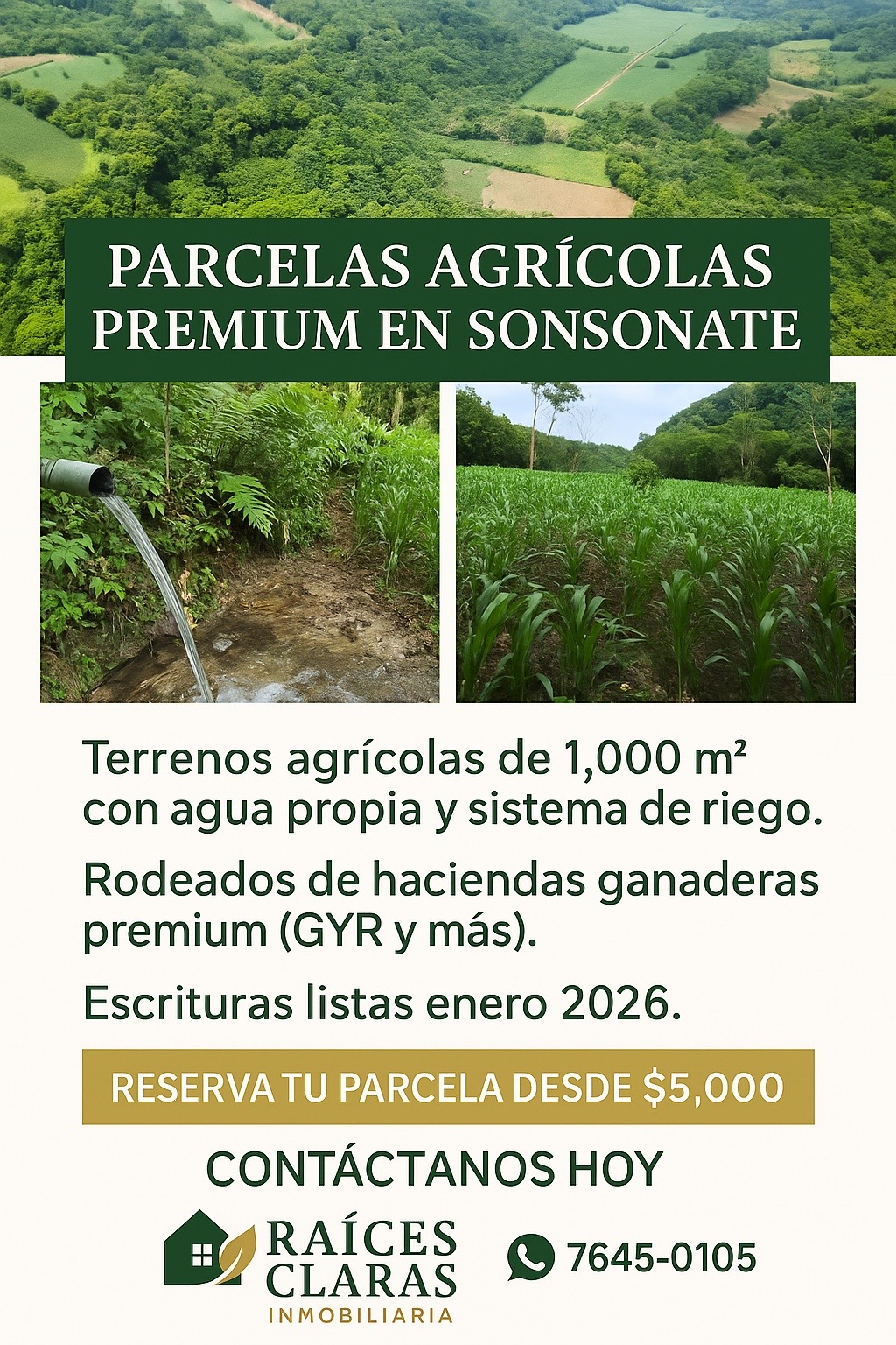 Terreno en Sonsonate 2