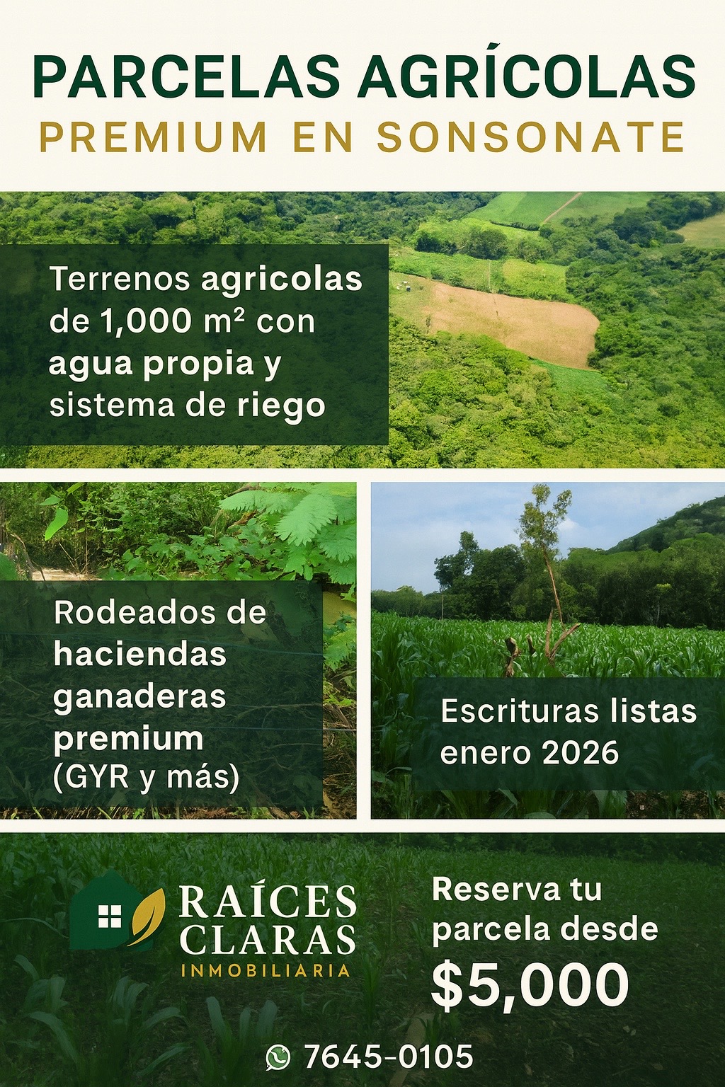 Terreno en Sonsonate 3